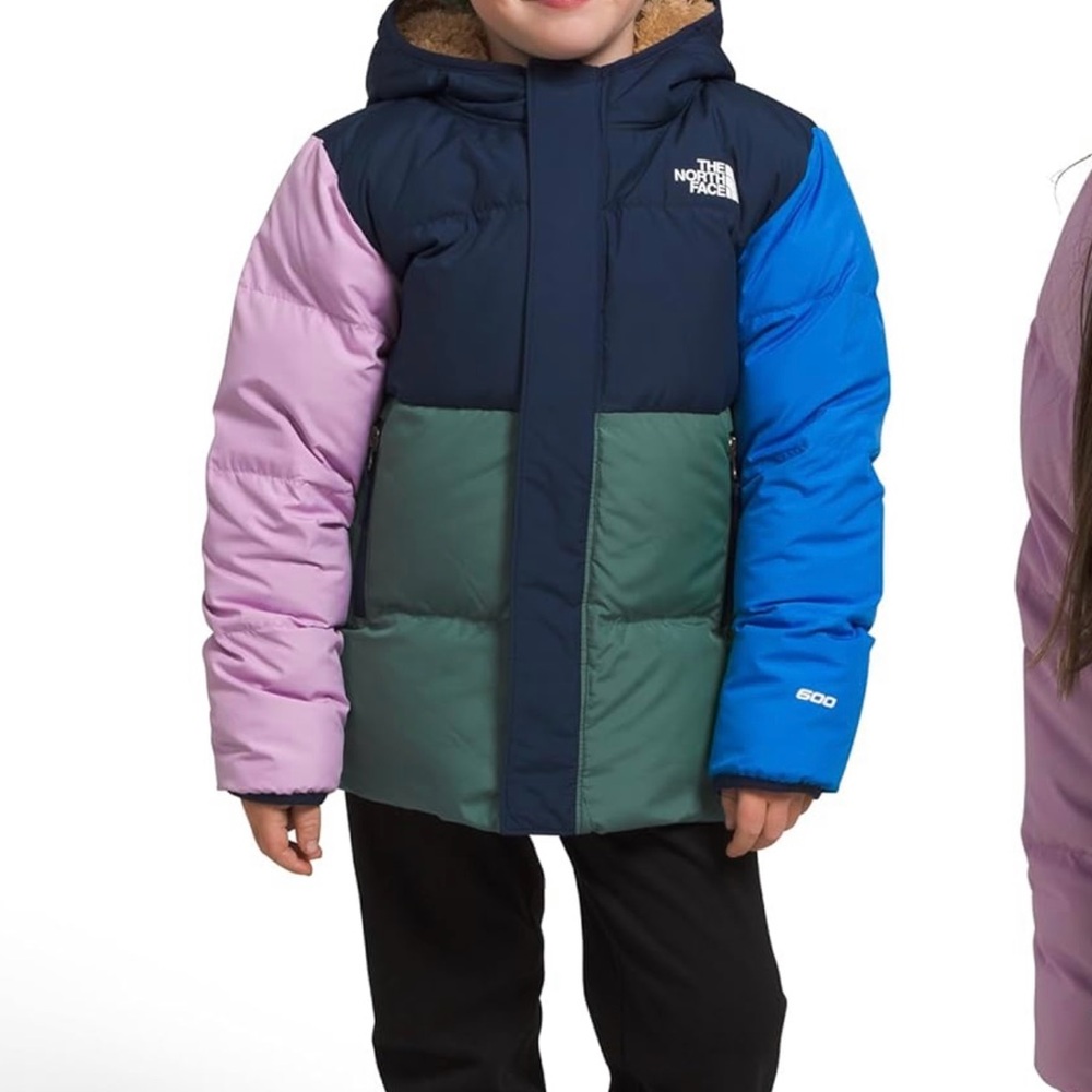The North Face Blue Puffer Jacket Insulated Hooded Design